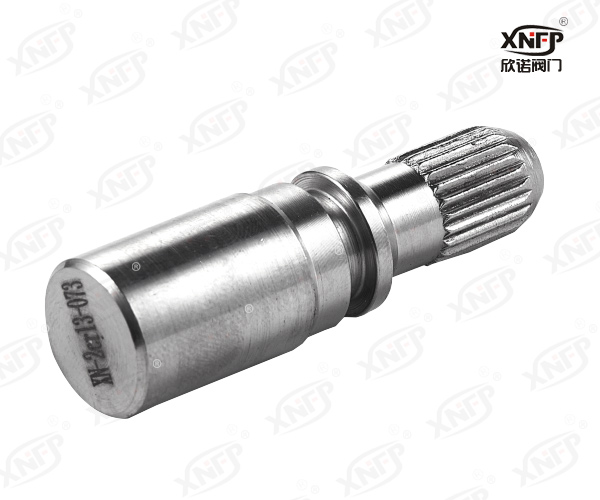 阀杆XN059